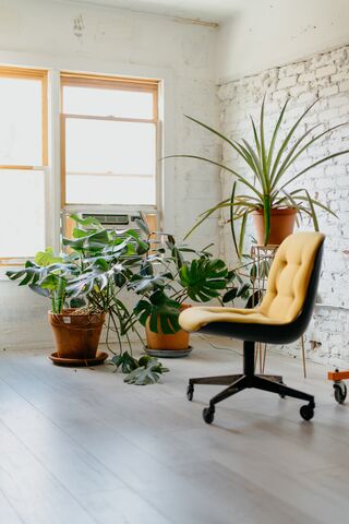 Ron McClenny / Unsplash
