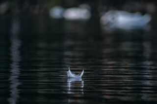 Andraz Lazic/Unsplash Andraz Lazic/Unsplash