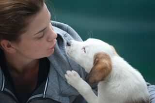 Does Your Dog Really Love You? | Psychology Today