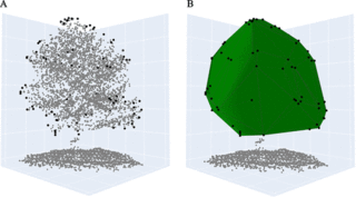 An Ecological Study, open access. An Ecological Study, open access.