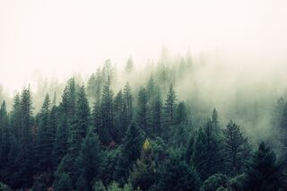 Photo by Jay Mantri via Unsplash Photo by Jay Mantri via Unsplash