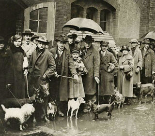 The Forgotten History of the British Pet Holocaust