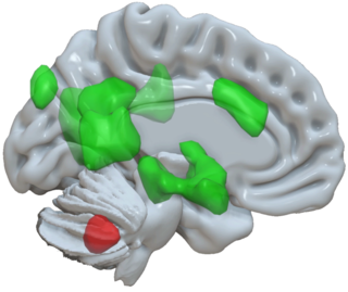 Source: MCN/University of Basel