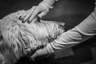 Freya L. L. Green Photography, used with permission