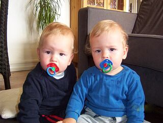 Wikimedia Commons: Twins by Glow at Danish Wikipedia, C.C. Attribution-share alike 3.0