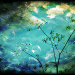 dreamworld30/flickr dreamworld30/flickr