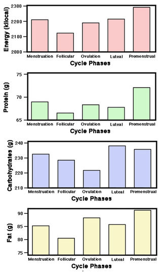 Adapted from a figure in Danker-Hopfe (1995).