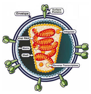 The Ripley Effect: Alien Intruders in the Womb | Psychology Today