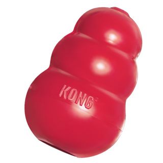 The Kong Company