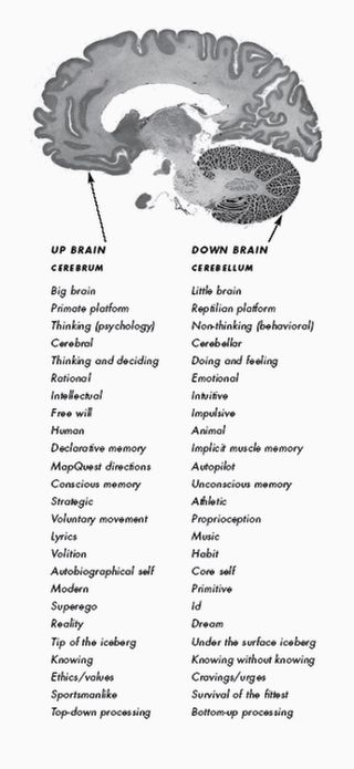 Are Our Fears of Subconscious Manipulation Justified?