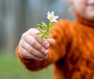 Young boy holding out a flower