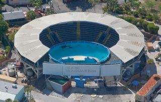Miami Seaquarium pool, 