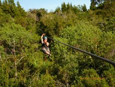 A good choice? zip lining