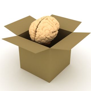 brain out of the box