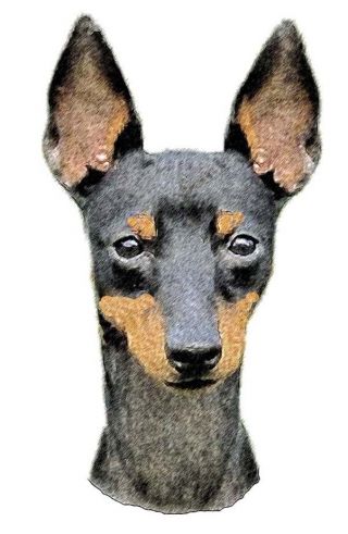 dogs with small ears