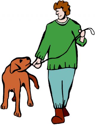 dog canine pet walk watch stress observe interpret