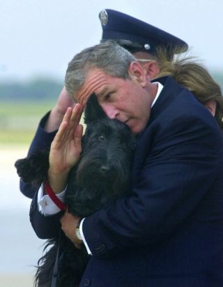 barney bush white house dog president salute