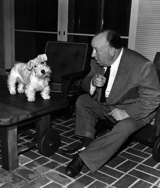 Alfred Hitchcock and one of his Sealyham Terriers alfred hitchcock sealyham terrier dog pet canine extinction risk