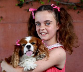 dog pet canine look alike girl cavalier king charles spaniel similar resemble