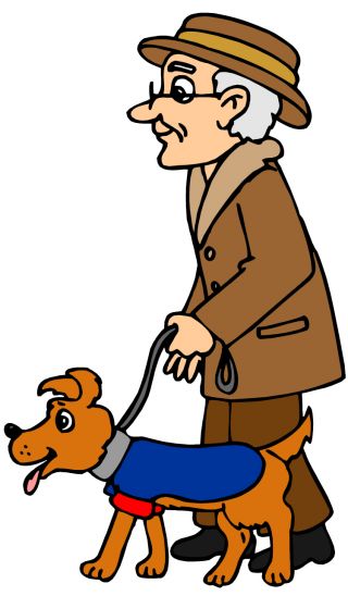 The Health and Welfare of Dogs Owned by Elderly Individuals ...