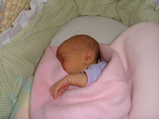 Baby girl in basket with snuggled in a pink blanket 