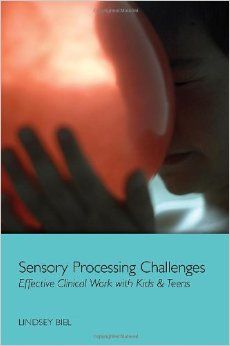 Cover of Lindsey's Book Sensory Processing Challenges