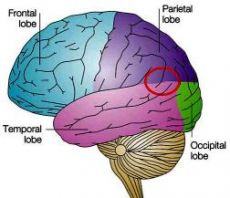 Magnets, Morality, and Reasoning | Psychology Today