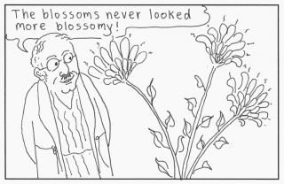 Blossoms