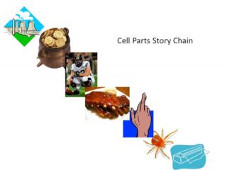 Memory Gimmicks 4: Story Chains | Psychology Today