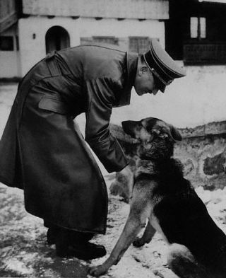 Was Hitler a Vegetarian? The Paradox of the Nazi Animal ...