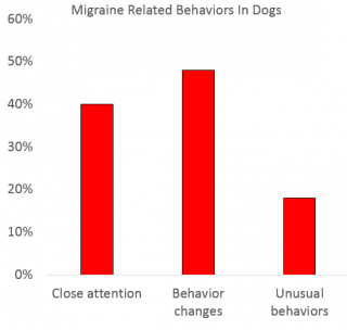 can service dogs sense migraines