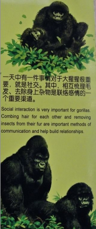 a highly informative poster at the Shanghai Zoo