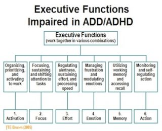 Adhd Executive Function Age Chart
