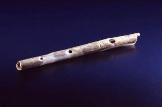 The earliest musical instruments