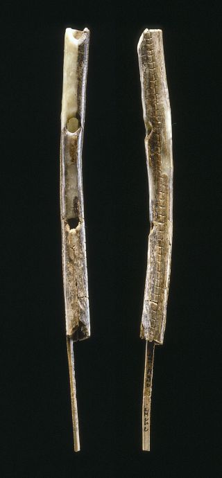 A second ancient flute, one of the earliest musical instruments