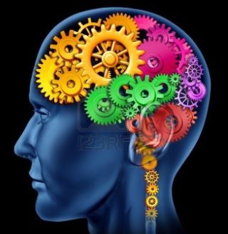 The picture of the head with gears represents how the brain is made of many parts and how they each have a unique function. A