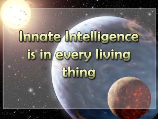 Innate Intelligence is in every living thing.