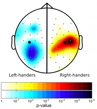 Emotion Is Reversed In Left Handers Brains Psychology Today