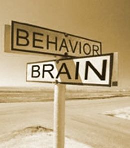 Image result for brain and behavior