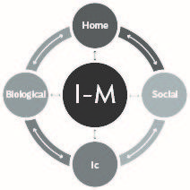 Joseph Shrand The I-M Approach