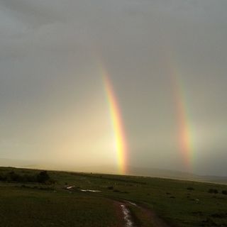 Photo taken in Masai Mara by Kristin Meekhof