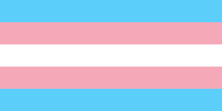 Trans pride flag, open source