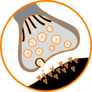 Clker-Free-Vector-Images/Pixabay Clker-Free-Vector-Images/Pixabay