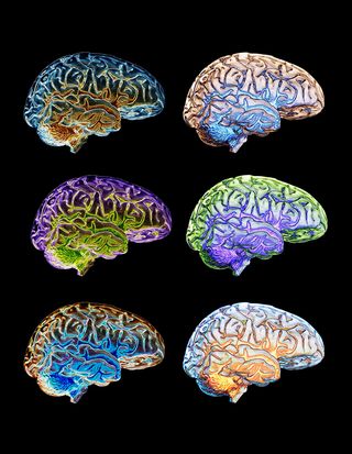 Cognitive Diversity | Psychology Today