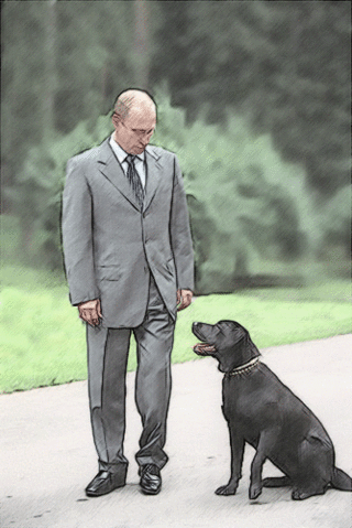 vladimir putin dog look alike