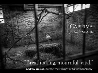 Courtesy of Jo-Anne McArthur Courtesy of Jo-Anne McArthur