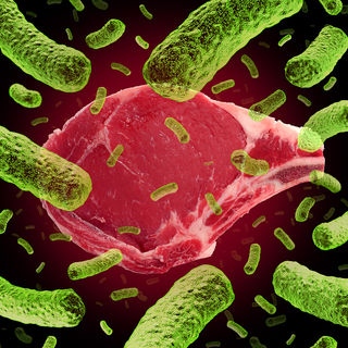 Shutterstock Image purchased by UCLA CNS for Dr. Gordon Shutterstock Image purchased by UCLA CNS for Dr. Gordon
