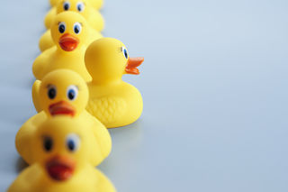 Shutterstock Shutterstock