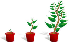 Image by OpenClipart, pixabay, CC0 Image by OpenClipart, pixabay, CC0