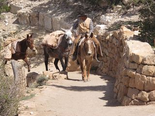 grand-canyon-646254_1920 Pixabay jrslocum grand-canyon-646254_1920 Pixabay jrslocum